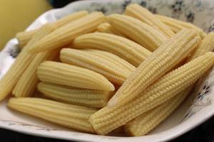 Proveedor de Maíz Baby de Vietnam – Maíz Baby de Primera Calidad, Dulce Natural // Sr. Tom - Product Image 5