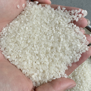 Arroz Japonés de Alta Calidad para Sushi, 3% de Grano Partido como Máximo |   Empaque de 1-50 kg |   Marca Privada Nueva Cosecha 2026 (Joice) - Product Image 2