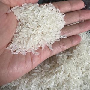 ข้าวหอมมะลิ 5% ข้าวหักเมล็ดยาว ข้าวหอมกลิ่นหอม จำหน่ายส่งสำหรับผู้นำเข้าและผู้จัดจำหน่าย บรรจุ 25กก. 50กก. รับผลิตแบรนด์ส่วนตัว/ ANNA DO - Product Image 1