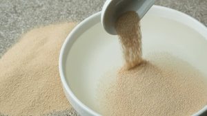 Isolat de protéines de levure de haute pureté 100% pur de qualité supérieure, poudre végétalienne, durée de conservation de 24 mois, améliorateurs nutritionnels, aliments fonctionnels - Product Image 4