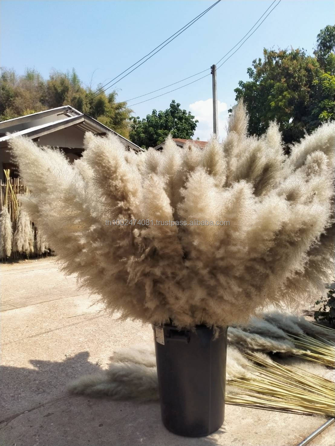 ธรรมชาติ