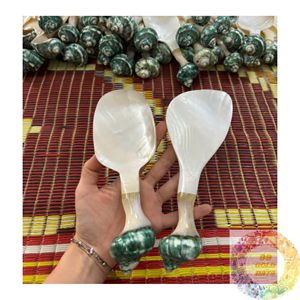 ผู้ส่งออกช้อนเปลือกหอยธรรมชาติจากเวียดนามสำหรับอุปกรณ์รับประทานอาหารและการจัดจำหน่ายขายส่ง - Product Image 4