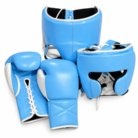 Ensemble de protection pour boxe et sparring, modèle dernier cri, couleur bleu ciel, comprenant gants, protège-tête, protège-génitales, kit d'entraînement et équipement de protection MMA.