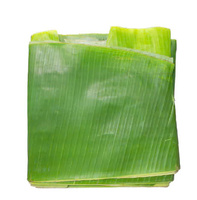 (Hot Deal)-Verse/Bevroren Bananenbladeren Voor Het Verpakken/Verpakken Van Voedsel Met Product Van Hoge Kwaliteit Voor Export Uit Vietnam 2025