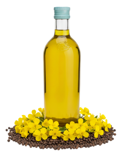 น้ำมันเรพซีดออร์แกนิคคุณภาพพรีเมียมขายดี (คาโนลา) น้ำมันปรุงอาหารแบบแยกส่วน ได้รับการรับรองมาตรฐาน ISO บรรจุภัณฑ์ขนาดใหญ่ ผลิตจากออสเตรีย - Product Image 1