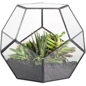 Terrarium décoratif en métal et verre, support élégant pour plantes, boîte de présentation, décoration intérieure - Product Image 1