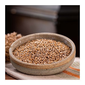 Grains de blé en vrac pour l'approvisionnement à prix réduit et une approvisionnement fiable - Product Image 5