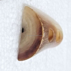 Botón de Palanca de Cuerno de Búfalo, Diseño de Palanca de Cuerno, Alta Calidad de la India - Product Image 4
