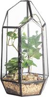 Nouveau terrarium géométrique en verre cristal de style vintage, forme dôme, pour la maison, le jardin, la table, le meilleur cadeau pour les amateurs de plantes