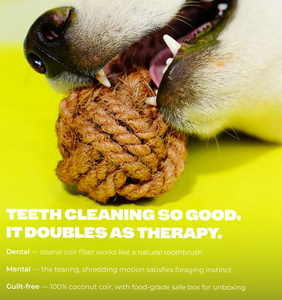 Juguete Masticable Ecológico de Fibra de Coco para Perros, Natural, No Tóxico, Trenzado, para Limpieza Dental, Venta al por Mayor, OEM, Etiqueta Privada Personalizada - Product Image 2