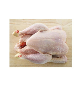 ไก่แช่แข็งฮาลาลคุณภาพสูงจากบราซิลสำหรับการส่งออกขายส่ง - Product Image 4