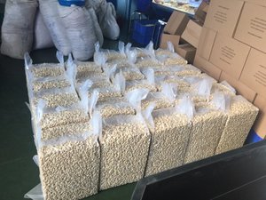 WS + 84359166896 Fabricant vietnamien de qualité supérieure Nouvelle récolte de noix de cajou Plusieurs tailles Prêt à expédier Vente de noix et de grains - Product Image 4