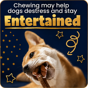 100% Palitos de Carne de Res para Perros, Masticables Naturales con Alto Contenido de Proteínas, Golosinas Dentales de Larga Duración para Perros Agresivos y Activos OEM ODM - Product Image 4