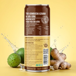 Kombucha de Jengibre Dracontomelon, Bebida de Té Fermentada Probiótica Lista para Beber, Proveedor Mayorista de Marca Privada OEM - Product Image 4