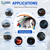 Kabel Kustom Pabrik OEM untuk Mesin Pertanian, Motor Skuter Listrik, Lift, Sepeda Motor, Mobil, dan Kabel Harness Trailer