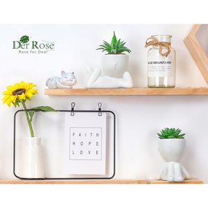 Set di 2 Piante Succulente Artificiali per Decorazione Estetica Interna, per Ufficio, Bagno o Casa, come Accessori da Scrivania - Product Image 5