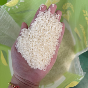 Arroz Japonés Premium para Sushi (Sin Pesticidas), Empaquetado en 5 LB - 25 LBS, Venta al por Menor y al por Mayor a Precios Competitivos (Joice) - Product Image 5