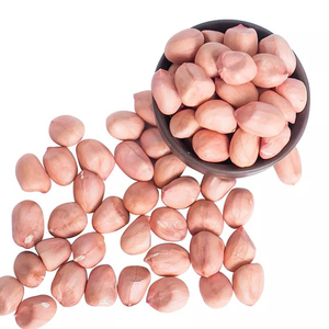 Compre Cacahuetes Crudos Secos con Cáscara al por Mayor a Precio de Mayoreo para Exportación - Product Image 6