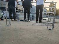 Cercas Portátiles para Ganado a Precio de Fábrica, Paneles de Acero Galvanizado para Animales de Granja, Puertas para Corrales de Caballos, Modelado 3D