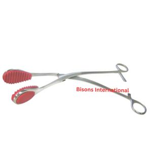 คีมผ่าตัดสัตว์แบบโค้ง 12 นิ้ว ยี่ห้อ BISONS สำหรับการผ่าตัดคลอดสัตว์ ทำจากเหล็กกล้าไร้สนิม อุปกรณ์ผ่าตัดสัตว์ - Product Image 3