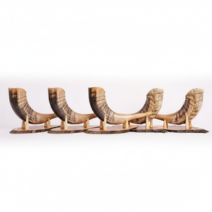 เขาควายธรรมชาติ งานแฮนด์เมด รูปทรงสัตว์แท้ ของสะสมตกแต่ง - Product Image 3