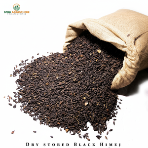 Suplemento Antioxidante a Granel de Terminalia Chebula Negra - Product Image 1