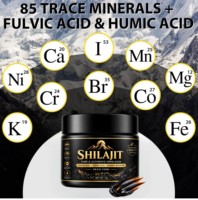 Résine de Shilajit de l'Himalaya testée en laboratoire, 15 g, Shilajit pur avec plus de 85 oligo-éléments et acide fulvique pour un soutien naturel de l'énergie et de l'endurance