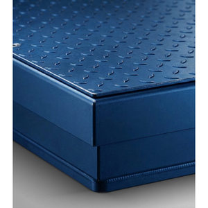 GRAM Buffalo - Bilancia da pavimento digitale per carichi pesanti per pesatura industriale ad alta capacità - Product Image 6