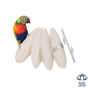 Os de Seiche Pur de Haute Qualité, Durable, le Plus Vendu, Premium, Riche en Calcium, pour l'Entretien des Oiseaux, Prix Direct Usine - Product Image 1