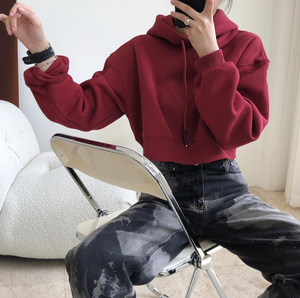 เสื้อฮู้ดครอปท็อปผู้หญิงผ้าฟลีซ 345GSM สไตล์เรโทร ถักจากผ้าฝ้ายผสมโพลีเอสเตอร์  โลโก้ด้านหน้า ทรงหลวม ใส่สบายสำหรับฤดูใบไม้ร่วง - Product Image 4