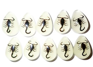 Cabochon Black Scorpion Pear Shape Cut <b>Top</b> 25x17 mm Glow Flat Bottom for Crafts and Jewelry Making - Product Image 6