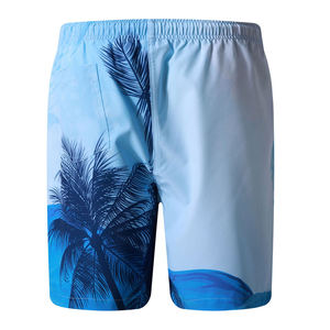 กางเกงขาสั้นชายหาดแห้งเร็ว กางเกงขาสั้นฤดูร้อน ระบายอากาศได้ดี พิมพ์ลายแบบซับลิเมชั่น กางเกงขาสั้นผ้าแคนวาส สำหรับผู้ชาย ใส่ออกกำลังกายกลางแจ้ง สไตล์ลำลอง ขายส่ง - Product Image 2