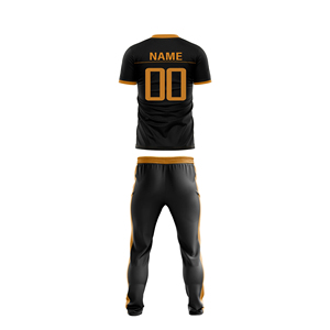 Uniforme de Cricket Personalizado al por Mayor, Conjunto Completo, Jersey y Pantalones para Equipo Corporativo o de Liga, Ropa con Logotipo Bordado Personalizado - Product Image 3