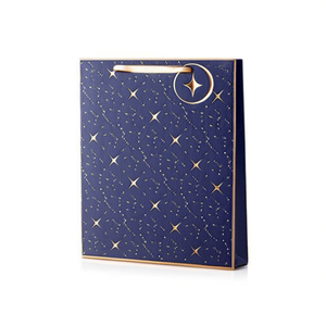 Borsa Regalo ILAN Taglia M con Design Goffrato e Stampa a Caldo in Oro - Product Image 2