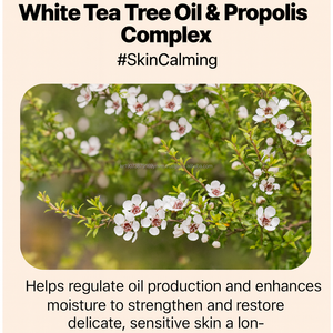 Crème BB Vegan Hyaluronic K Beauty SPF30 Peau de Verre Éclat Couvrance Longue Durée OEM - Product Image 5