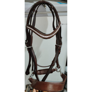 สายหนังสิทธิบัตรแวววาวลายม้าบริดเดิ้ลสีอังกฤษชมพูน้ำตาลในดอลลาร์9บัตรเครดิตขนาดรับซอง - Product Image 4