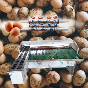 <b>Egg</b> Sorter Machine by Weighing Control Industrial <b>Egg</b> Machine Industrial <b>Egg</b> Grading Machine for Chicken Farm - Product Image 2