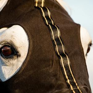 Vente en gros de couvertures imperméables pour chevaux, couvertures équestres, produits d'équitation, fabricant Riding House India - Product Image 4