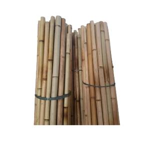 99 Gold Data Poteau de bambou durable d'origine vietnamienne, adapté au cadre de construction, à l'agriculture et à l'aménagement paysager - Product Image 6