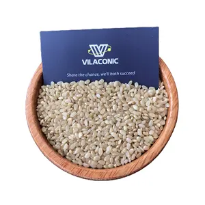 Вьетнамский коричневый веганский рис для суши, поставщик риса VILACONIC, здоровое короткое коричневое зерно (WhatsApp: + 84339249239-FELICIA)