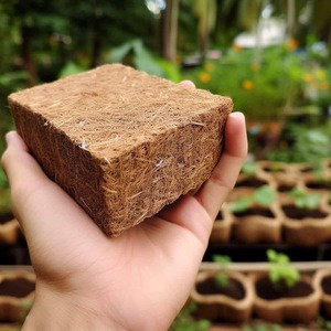 Bloque de Fibra de Coco de Alta Calidad, Comprimido, Rectangular, para Plantación, Uso en Macetas, Medio de Cultivo Natural y Orgánico - Product Image 5