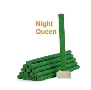 Natural Night Queen Encens Dhoop Sticks Wholesale Supply at Leading Price (Green) - Product Image 1