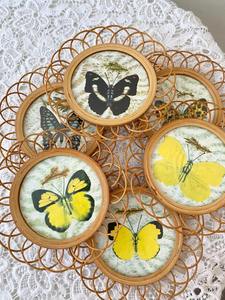 Juego de Posavasos de Ratán con Diseño de Mariposa y Soporte para Decoración de Fiestas, Agrega un Toque Único con Diseño de Mariposa a las Decoraciones de Fiesta, de la India - Product Image 6