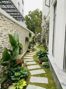 Offre spéciale sur les panneaux de placage de marbre de revêtement de mur en pierre naturelle parfaits pour des intérieurs de villa et de station de vacances avec la conception moderne - Product Image 6