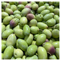 Olives vertes fraîches de qualité supérieure avec un goût naturel riche et une excellente tenue en fraîcheur pour les marchés d'exportation mondiaux