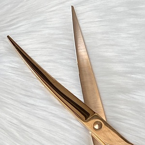 Pet World Professional Bulk Pack Juego de tijeras de acero inoxidable Herramientas de comportamiento de aseo y entrenamiento canino - Product Image 4