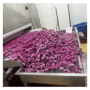 Cubes de fruits du dragon rouges surgelés du Vietnam, morceaux d'exotiques pitayas pour mélange de céréales, coupes parfaites, glaces, boutiques de crème glacée et cafés - Product Image 4