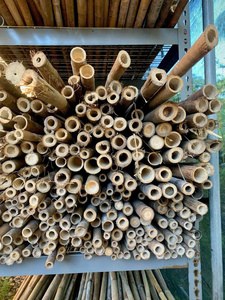 Bâtons de bambou durables, cannes de bambou naturelles pour le jardinage et la décoration - Product Image 4