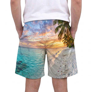 Short de plage unisexe pour homme, à séchage rapide, avec broderie, taille mi-haute, imprimé numérique, idéal pour le sport et la course à pied – Nouvelle collection très prisée - Product Image 5