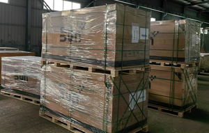 Panel solar de salida de alta potencia SUNPLUS con 25 años de garantía - Product Image 5